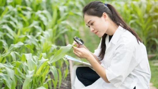 crop protection