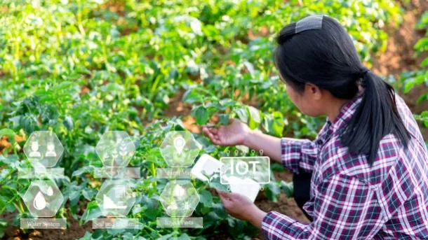 traceability and transparency