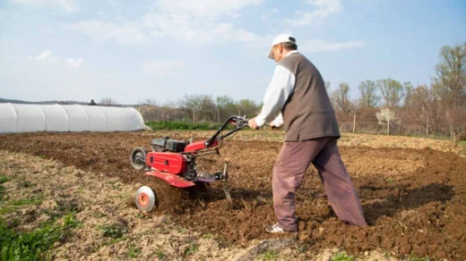 mechanization