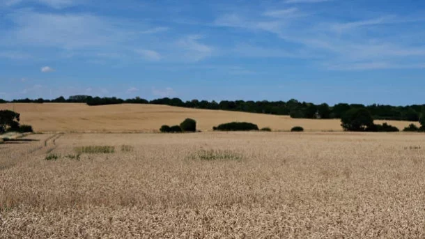 agroecology