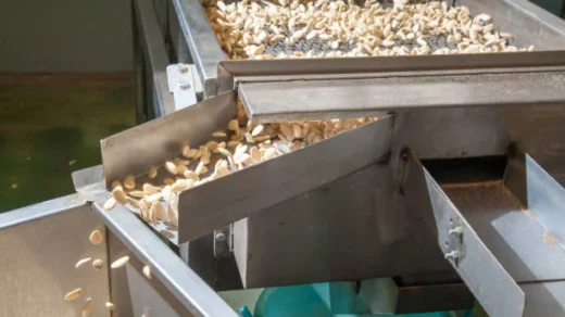 cashew processing