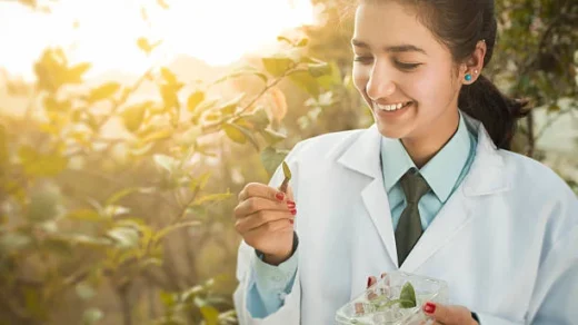 cultivation of medicinal plants