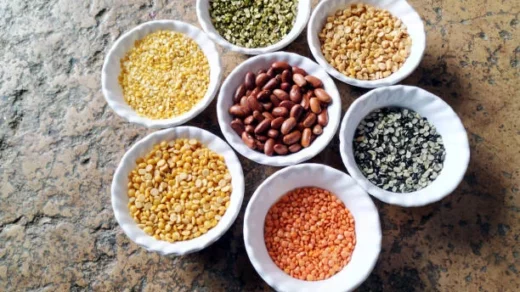 oilseeds