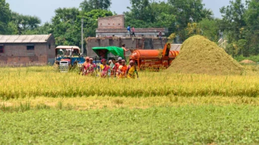 rural livelihoods