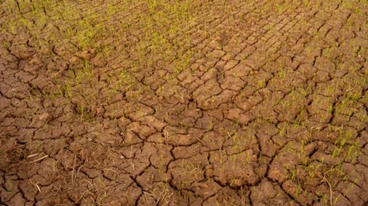 land degradation