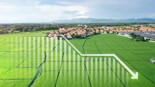 agricultural land