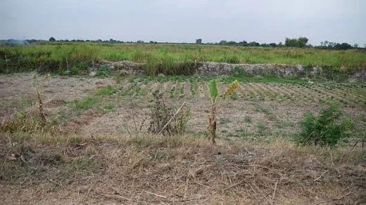 small landholdings
