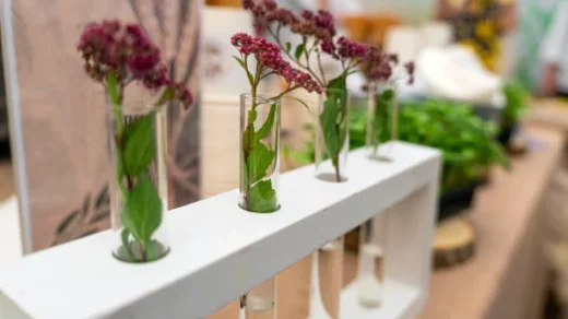 agricultural biotechnology