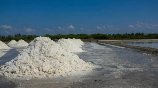 phosphate-solubilizing