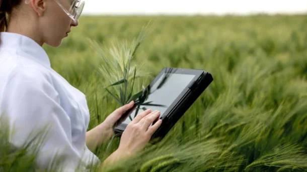 plant breeding