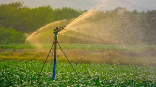 precision irrigation