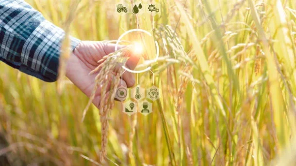 predictive analytics