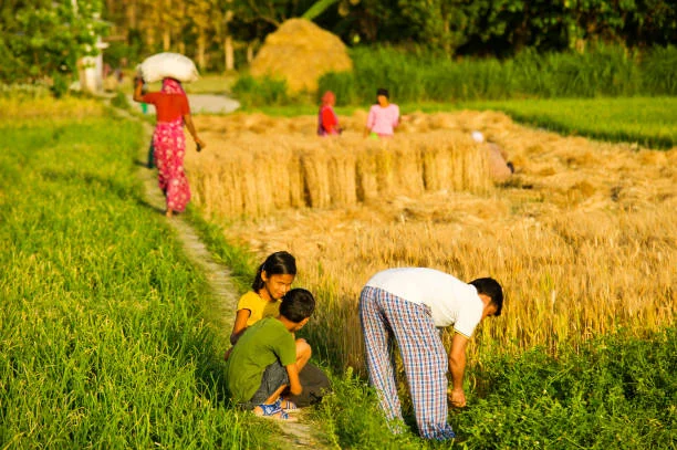 small-and-marginal-farmers-which-program-that-aims-to-enhance