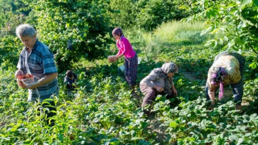 rural communities