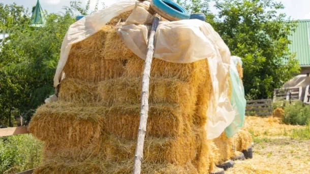 safety nets