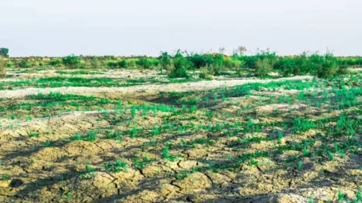 soil erosion