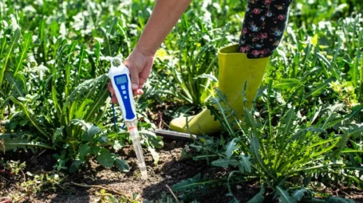 soil testing and analysis