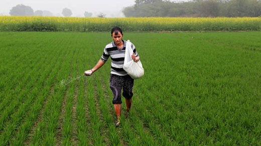 subsidized seeds and fertilizers