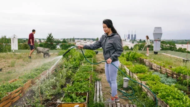 rooftop gardens