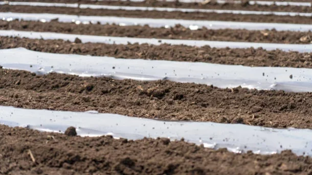 biodegradable mulch films