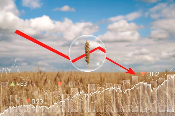 Agricultural Trade : How Does The Volatility Of Exchange Rates Impact