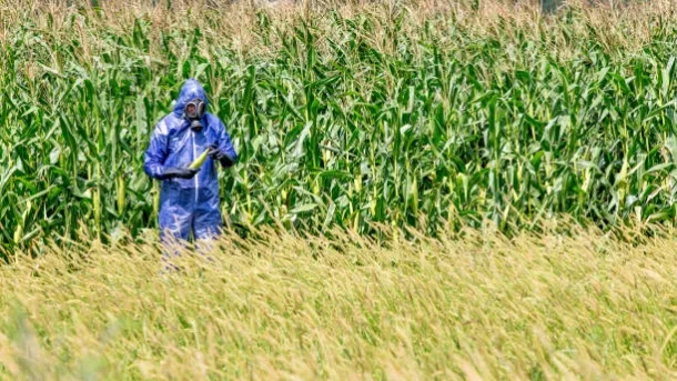 harvested