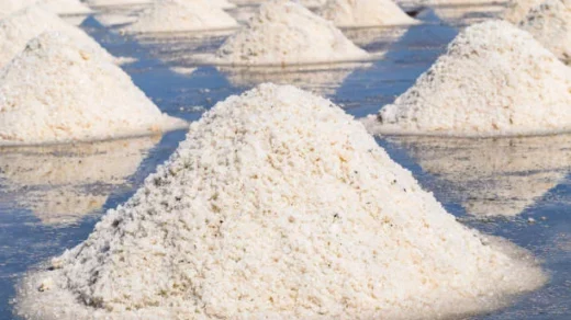 phosphate-solubilizing