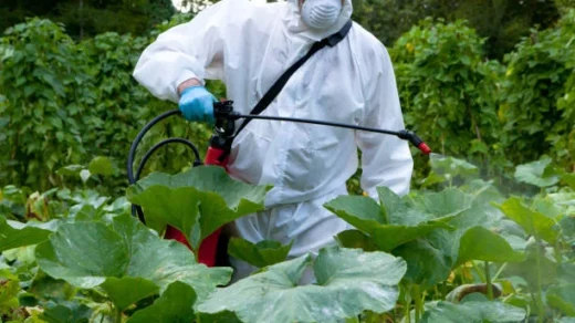 bio-fertilizers