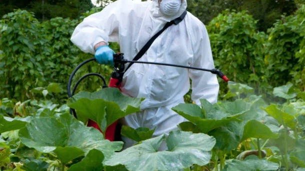 bio-fertilizers